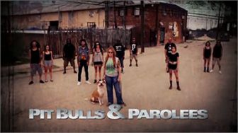 Pit Bulls and Parolees' shines light on dogs in New Orleans