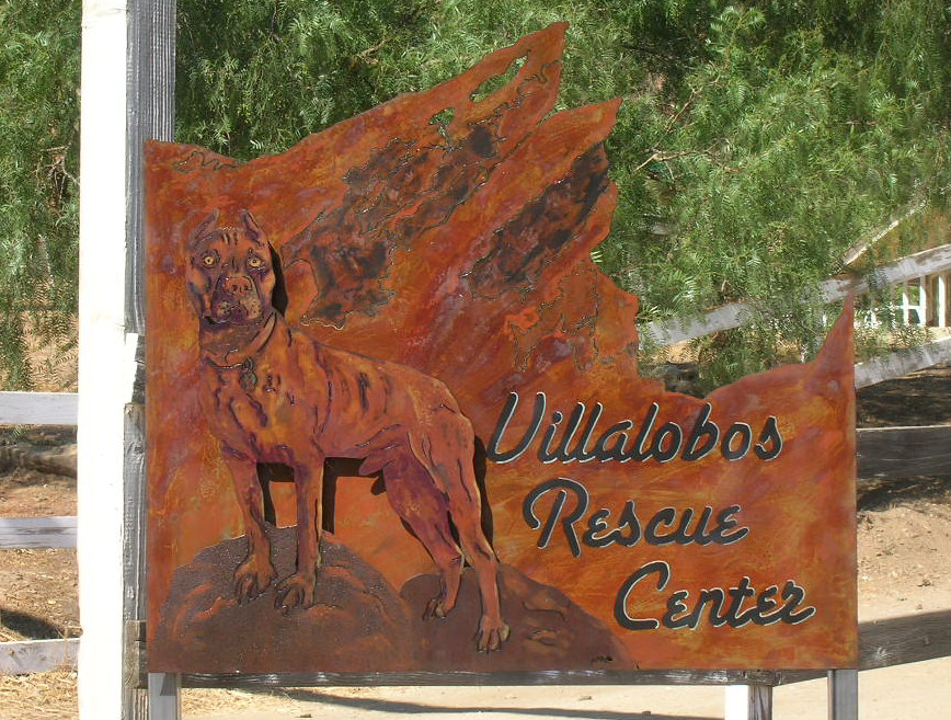 villalobos rescue center photos