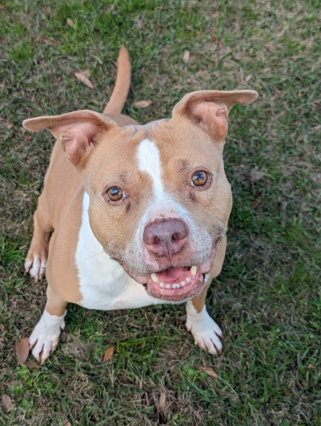 AYLA Villalobos Rescue Center