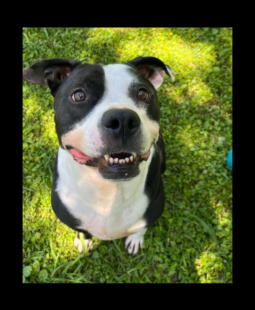 ANDREW Villalobos Rescue Center